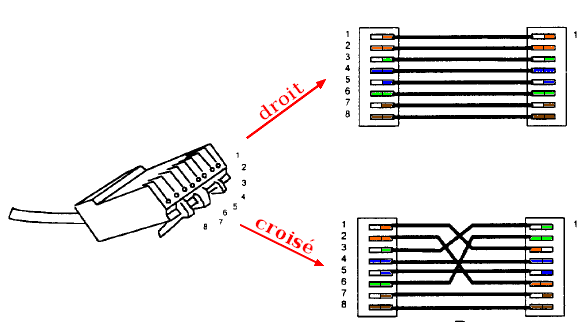 RJ45 droit croise