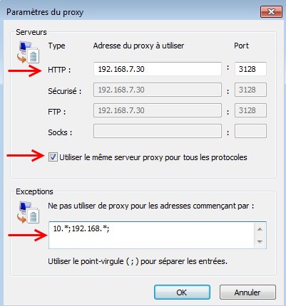 proxy ie